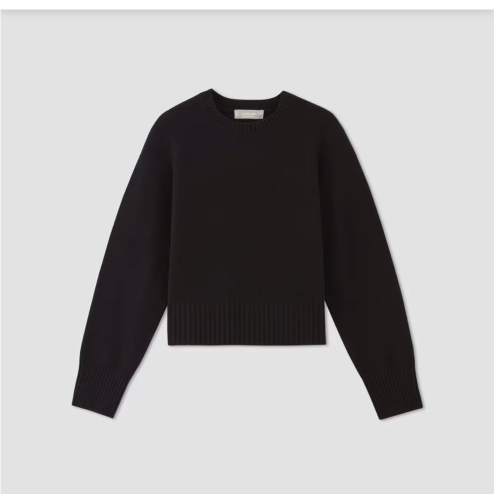 Everlane The Boxy Crew in Cashmere sweater NWT xs